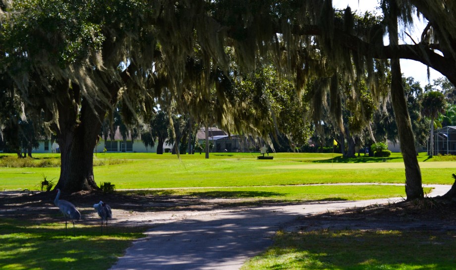 Course Information Oaks National (Kissimmee Oaks)